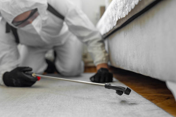 Professional Termite Control technician working in Grand Rapids, MN